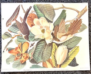 lot 215 image: Unframed Bird and Wildlife Artwork Audubon Prints with Signed Quail & Sundew Art