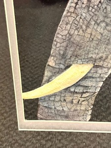 lot 231 image: Artist Signed PORTRAIT OF A GIANT Old Elephant Framed Artwork by KATHY MOGELSON