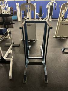 Vertical Knee Raise Dip machine Combo