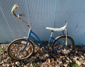 Schwinn Stingray  - girls