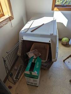 lot 95 image: Large Animal Carrier and Cat Supplies