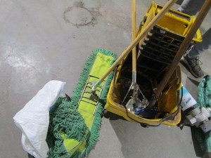 Mops, Bucket