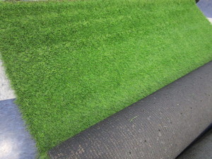 Turf Carpet Section