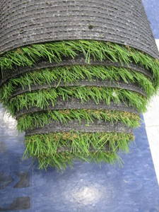 Turf Carpet Section
