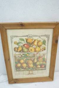 lot 60 image: March 1731 List of Fruits Picture