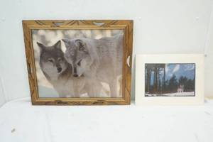 lot 156 image: 2 Wolf Pictures