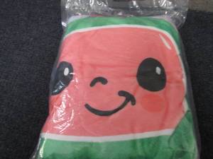 lot 294 image: 40x50 inch Plush Blanket...