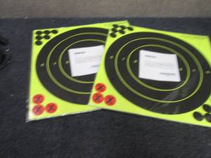 lot 317 image: 2-20 pks 12x12 Bullseye Target Shee...