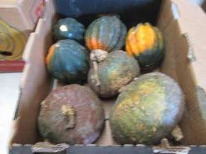 lot 369 image: Box of Winter Squash...