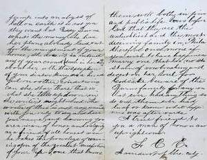 Letter from a Resident of the City written in 1875