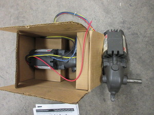 lot 502 image: DAYTON GEAR MOTORS - NEW