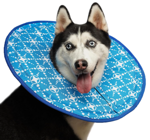 lot 252 image: Dog Recovery Cone Collar Alternative - Blue