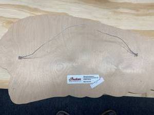 lot 53 image: Indian Motorcycle Hanging Wooden Emblem