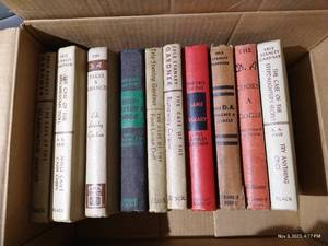 lot 183 image: (10) Vintage Erle Stanley Gardner Novels