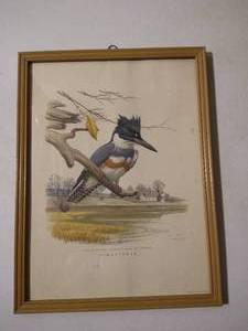 lot 208 image: Vintage Framed Kingfisher Print