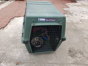 lot 32 image: Large Pet Kennel with Pet Supplies and Tug Toy
