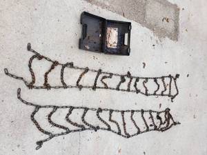 lot 62 image: Tire Chains