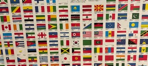 lot 126 image: Flags of the Word Framed Print
