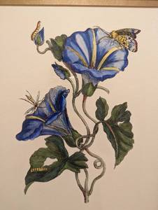 lot 290 image: Framed Garden Treasures Hand Colored Print