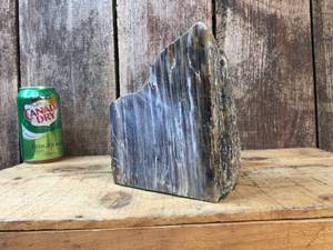 lot 139 image: CutPolished Petrified WoodRockMineral