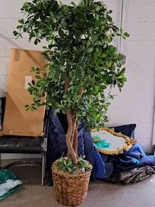 lot 1006 image: Faux Tree in Wicker Planter 70