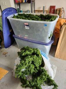 Two Large Tubs of Garland