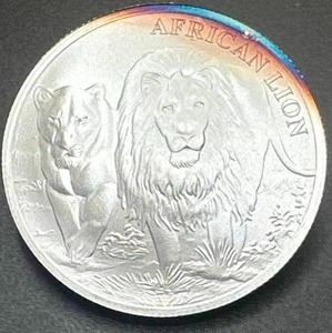 1oz .999 Silver African Lion Coin