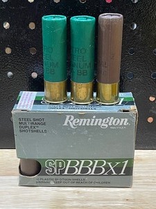 lot 6 image: 10 Gauge Shotgun Shells