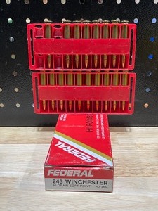 lot 8 image: Federal .243 Bullets