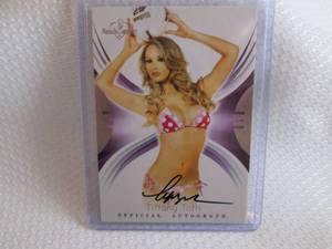 2014 Bench Warmer Tiffany Toth Auto...