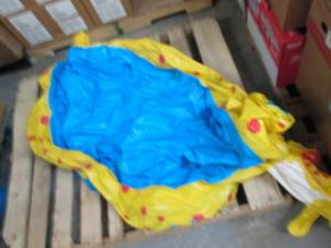 Pool Floatie...