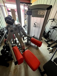lot 3 image: Cybex VR3 Lateral Raise Machine ($3,000 MSRP)
