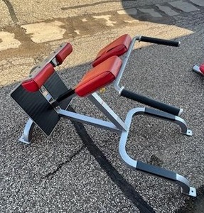 lot 21 image: Cybex 45 Degree Back Extension (Model 4511-90)