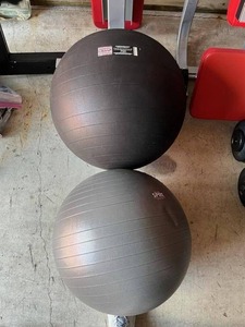 lot 25 image: Balance Ball Lot - 55cm Versa Ball Pro & 55cm SPRI Professional Plus