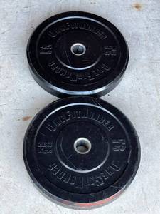 lot 27 image: One Fit Wonder 45lbs Rubber Bumper Plates (2 Total)