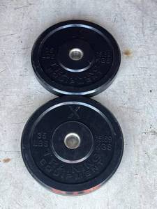 lot 30 image: (2) 35lbs. Rubber Bumper Plates (X Training Equipment)