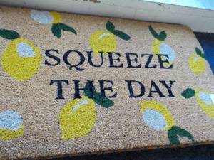 Squeeze The Day 18 x 30 Floor Mat...