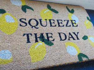 Squeeze The Day 18 x 30 Floor Mat...