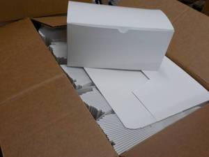 Case of Bio-Detek White Self Closing Boxes - 250 total 9x4x4