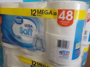 12 Mega Rolls Great Value 2 ply Toilet Paper