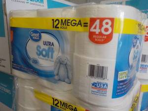 12 Mega Rolls Great Value 2 ply Toilet Paper