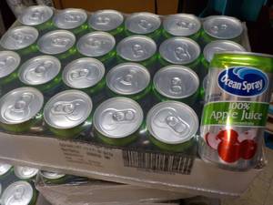 24 pack Ocean Spray No Sugar Added Apple 10 oz Cans