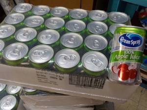 24 pack Ocean Spray No Sugar Added Apple 10 oz Cans