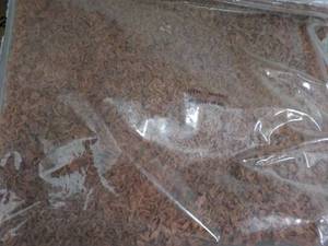 E 6 lb. Bag Frozen Turkey Bacon Bits