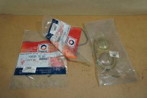 NOS Master Cylinder Cover Plate and Bails