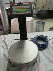Weight Scale