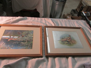 Wildlife Prints