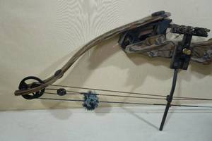 lot 18A image: Golden Eagle Orion Formula 1 RH Compound Bow 65#32