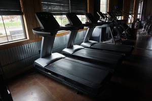 lot 1 image: FreeMotion Model Reflex t11.3 Interval Commercial Treadmill