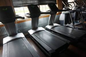 lot 2 image: FreeMotion Model Reflex t11.3 Interval Commercial Treadmill